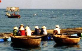 Boats in Vietnam