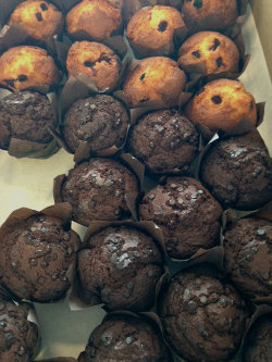 muffins