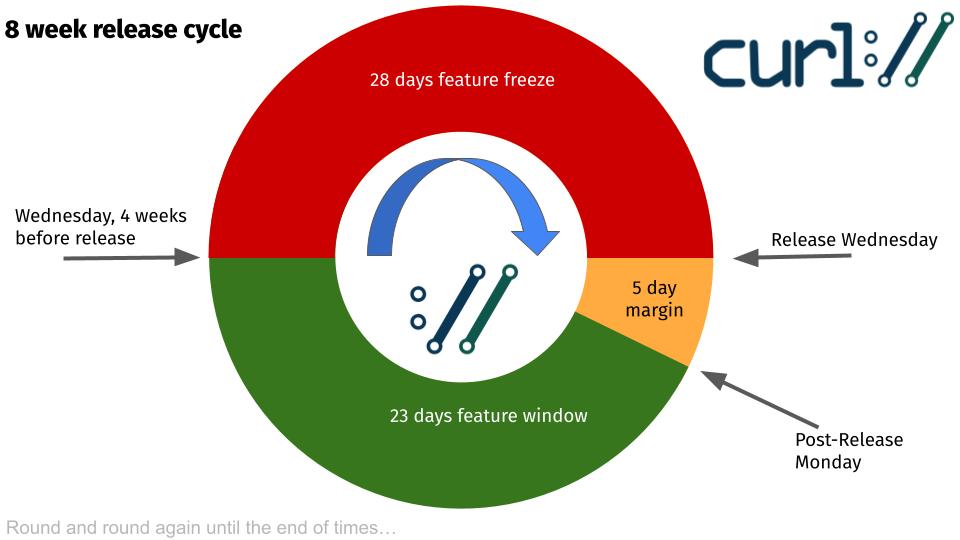 The curl release cycle